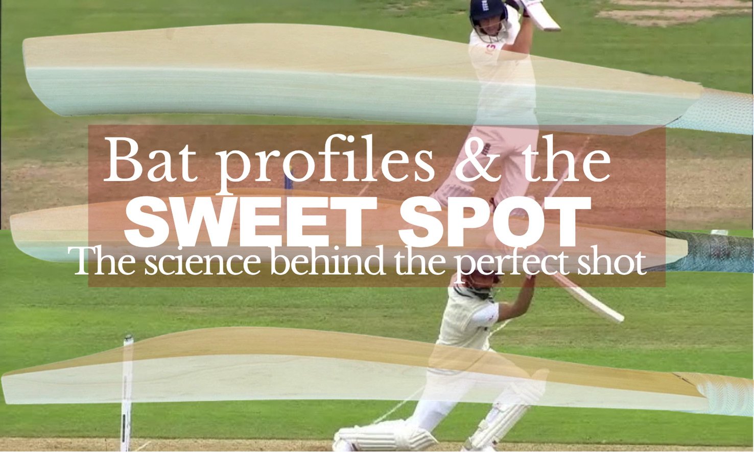 Bat profiles and the sweet spot blog banner