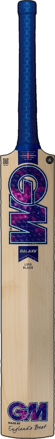 Gunn & Moore Galaxy Original LE bat