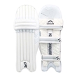 Pro Players Lightweight Replica Pads (23/24)