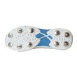 Pro 2.0 Spike Shoes - White/Blue