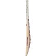 TC 560 Bat (23/24)