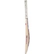 TC 1260 Youth Bat (23/24)