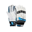 EvoPower 4 Gloves (16/17)