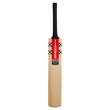 Vapour Strike Kashmir Willow Bat (23/24)