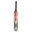 Vapour Strike Kashmir Willow Bat (23/24)