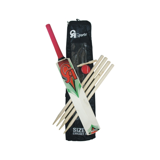 Cricket Set