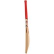 GN Silver Bat (21/22)