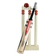 Mini Bat Set with Stumps & Ball