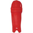 Batting Pad Covers (Clads)