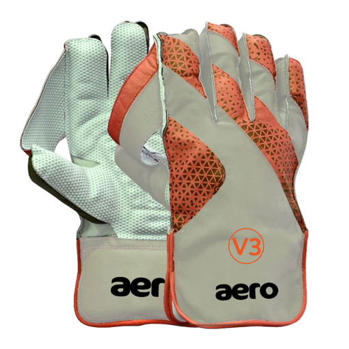 V3 Wicket Keeping Gloves