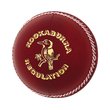 Regulation Cricket Ball