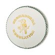 Regulation Cricket Ball