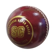 Menace Cricket Ball