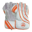 V3 Wicket Keeping Gloves (17/18)