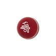 Practice Cricket Ball
