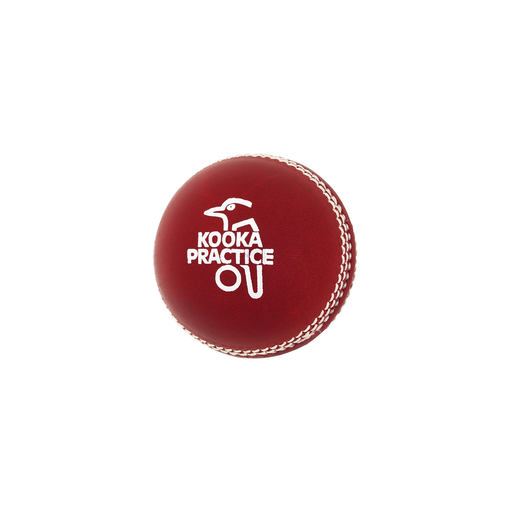 Practice Cricket Ball