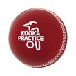 Practice Cricket Ball