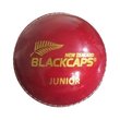 Leather Ball RED 142g