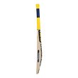 Burn 500 Max Bat (25/26)