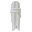 DC 480 Batting Pads (20/21)
