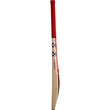 GNR 5 Blast Kashmir Willow Bat (25/26)
