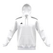 Entrada Hoodie