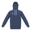 Entrada Hoodie