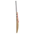 Steel Bat (26/27)