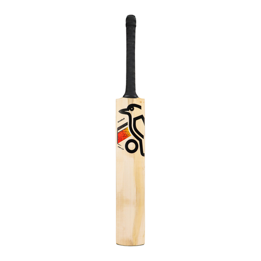 Diablo Pro 5.0 Bat (26/27)