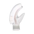 Ghost Pro 1.0 Batting Gloves (26/27)