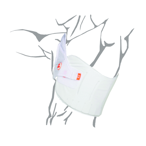 Aero P3 Chest Protector Batting Protective Equipment Cricket