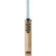 Rival Signature Bat (26/27)