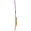 Orion 625 Bat (26/27)
