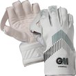 Original Wicket Keeping Gloves (26/27)