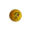 Polysoft Cricket Ball