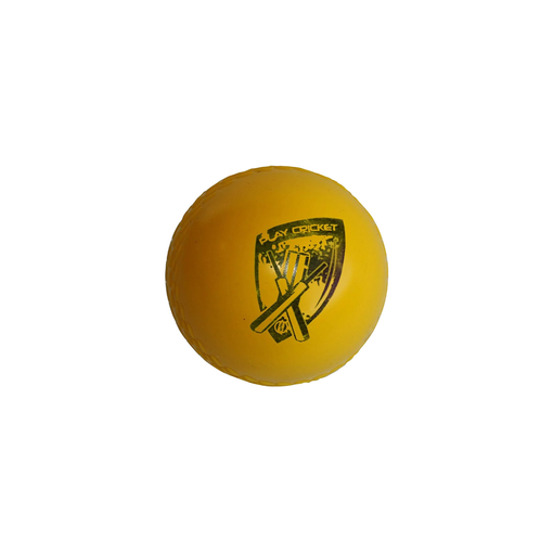 Polysoft Cricket Ball