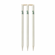 Wooden Ferule Stumps