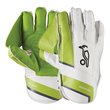 Pro 1000 Wicket Keeping Gloves (18/19)