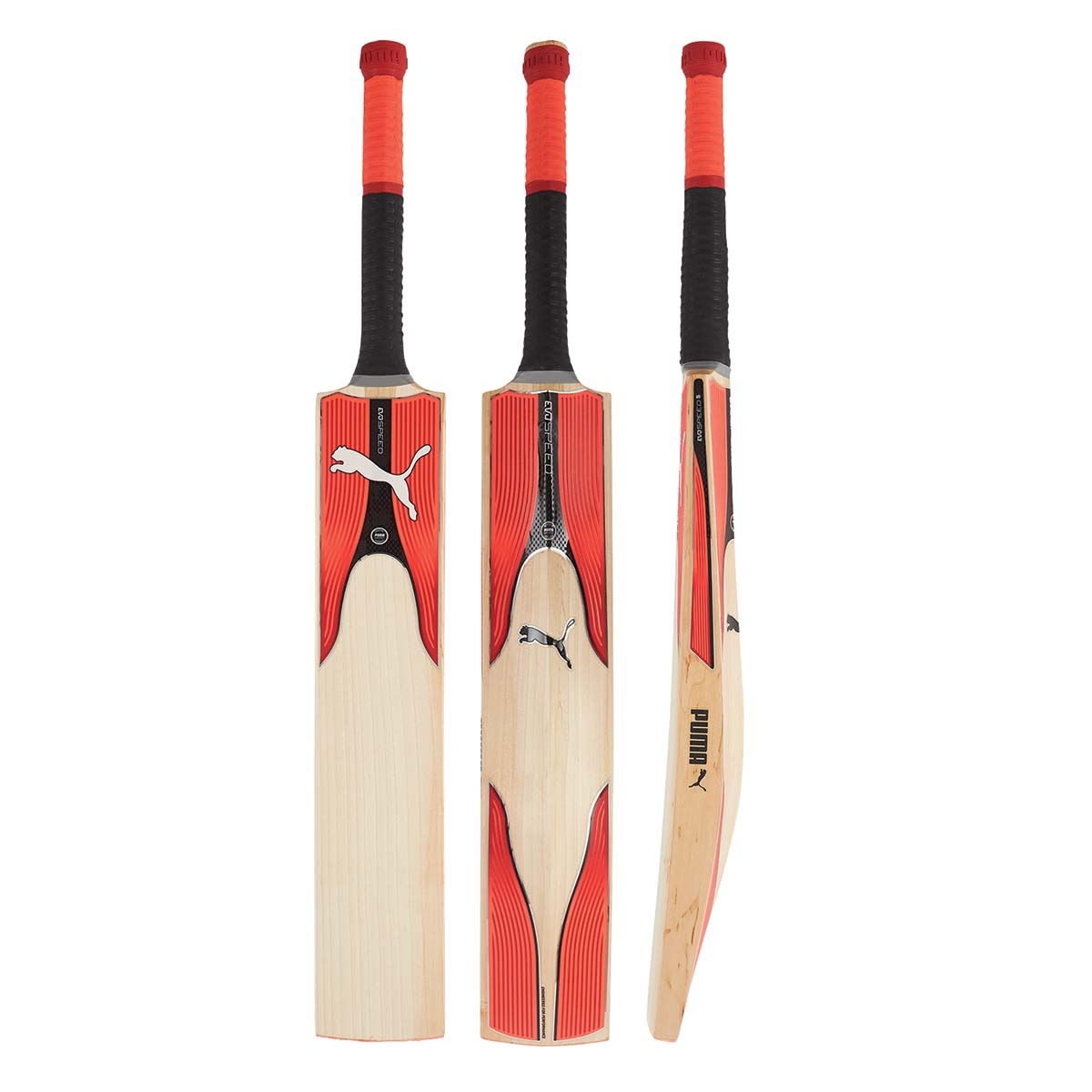 puma evospeed 2 cricket bat
