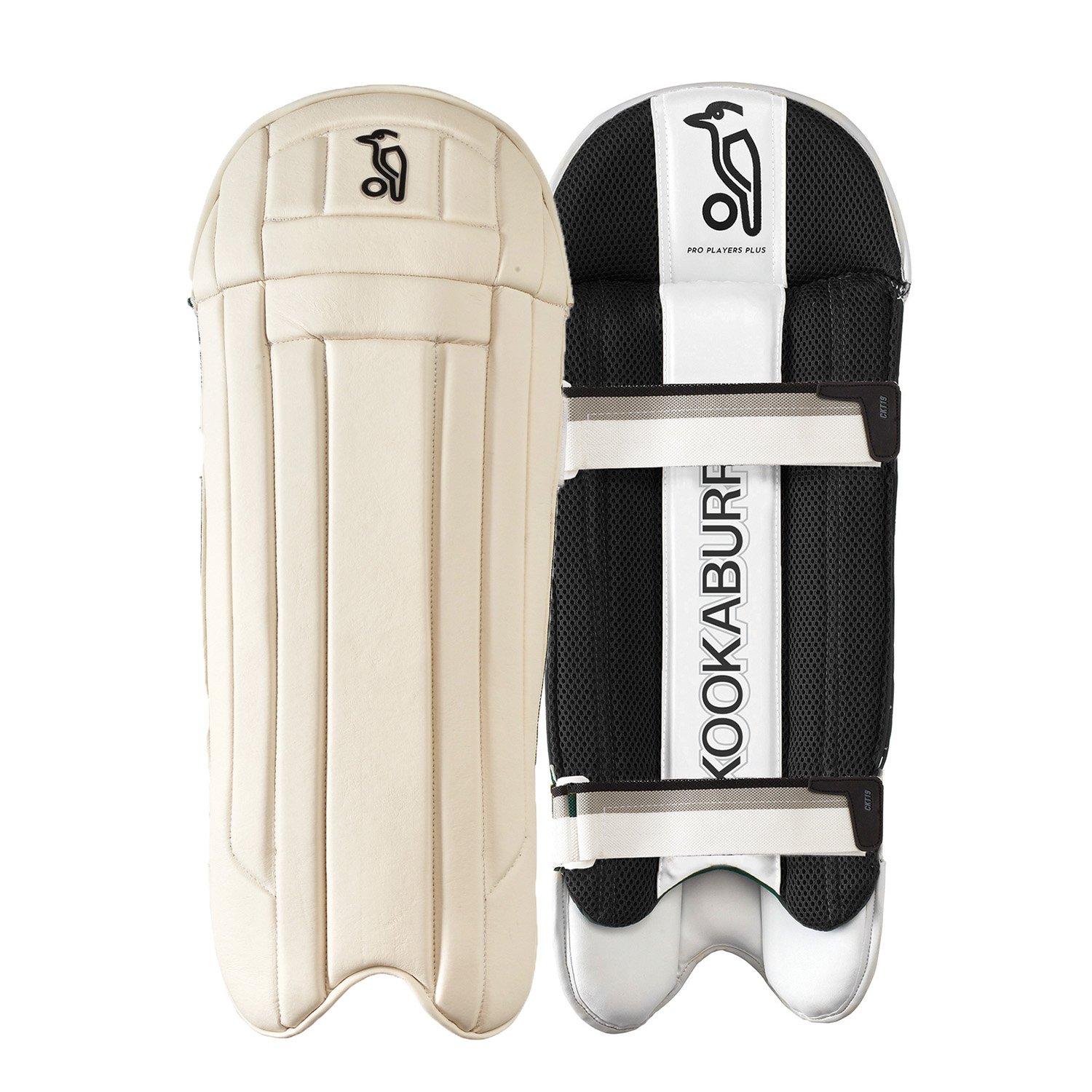 Pro Players Plus WK Pads (19/20) WicketKeeping Cricket Express