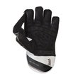 Pro 1000 Plus WK Gloves (19/20)