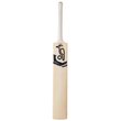 Shadow Pro Players Bat (19/20)