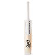 Ghost Pro 2000 Bat (19/20)