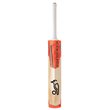 Rapid Players Bat (19/20)