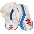 Prestige Wicket Keeping Gloves  (19/20)