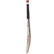 TC 1260 Bat (19/20)