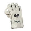606 Wicket Keeping Gloves   (19/20)