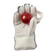 606 Wicket Keeping Gloves   (19/20)