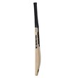 Noir Premier Lite Bat  (20/21)