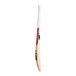 Rapid Pro 6.0 Bat  (20/21)